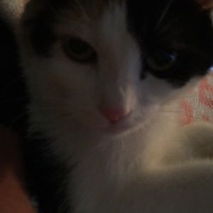 Meet your Posher, Hanna